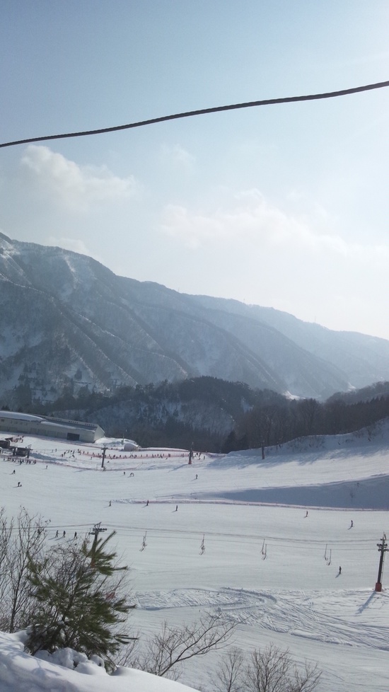 今年は雪が豊富|今庄365スキー場のクチコミ画像