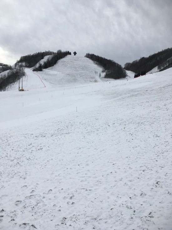 雪少なし|飛騨ほおのき平スキー場のクチコミ画像