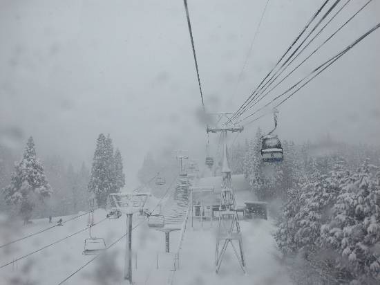 2024/1/8 舞子大雪パウダー|舞子スノーリゾートのクチコミ画像