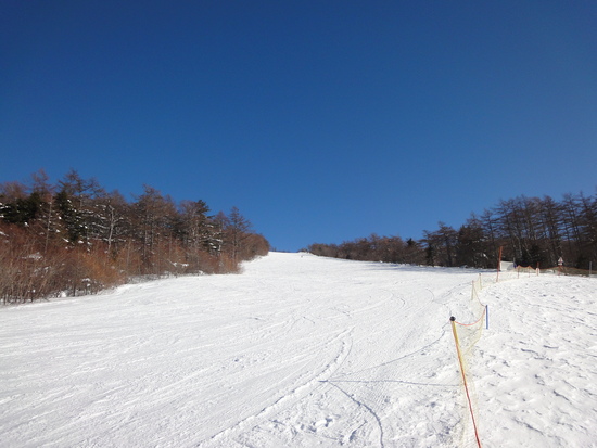 初心者の練習にGOOD|湯の丸スキー場のクチコミ画像