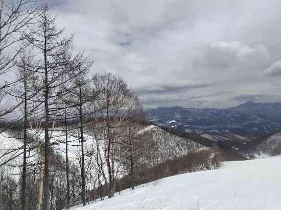 楽しめた雪！！|オグナほたかスキー場のクチコミ画像