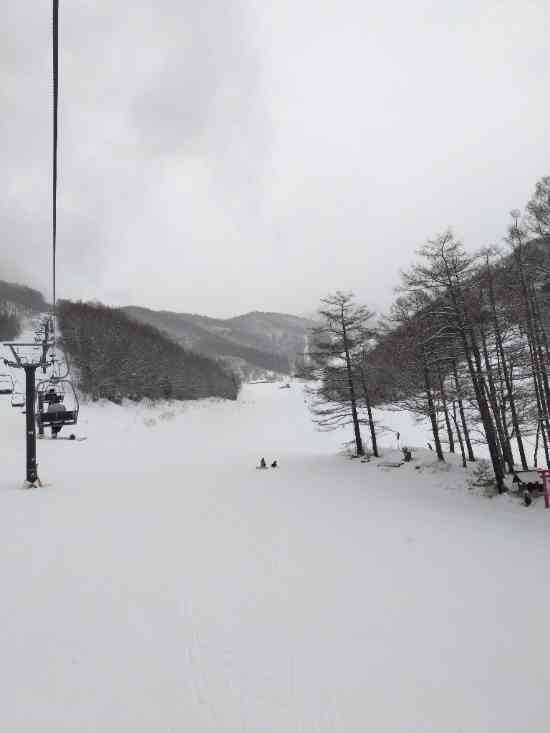 楽しめた雪！！|オグナほたかスキー場のクチコミ画像2