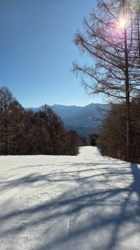 シニアになってからのミッフィーらんど|かたしな高原スキー場のクチコミ画像