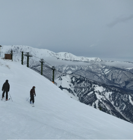 ワンダーランドかたしなレビューキャンペーン|のクチコミ画像