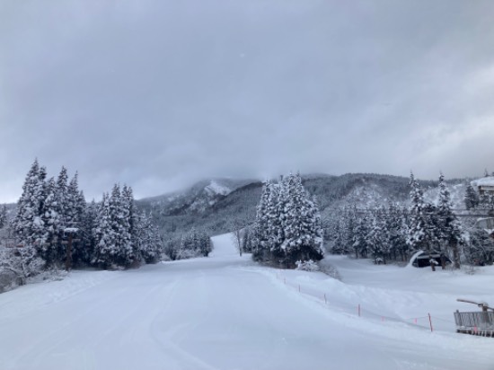 パウダー|六日町八海山スキー場のクチコミ画像