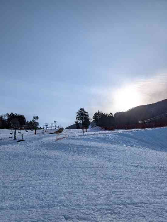 ワンダーランドかたしなレビューキャンペーン