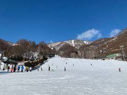 ワンダーランドかたしなレビューキャンペーン|のクチコミ画像