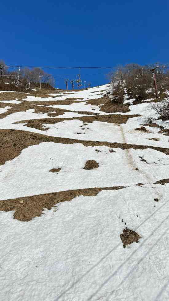 雪解けが早い|湯沢高原スキー場のクチコミ画像