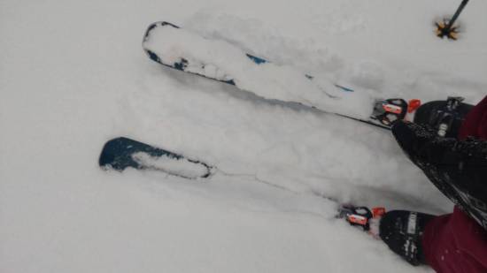 ワンダーランドかたしなレビューキャンペーン|丸沼高原スキー場のクチコミ画像