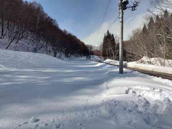 ワンダーランドかたしなレビューキャンペーン
