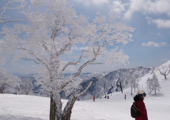 朝は最高でした。|苗場スキー場のクチコミ画像