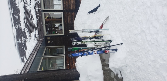最高の雪質でした|オグナほたかスキー場のクチコミ画像