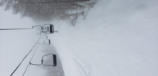 最高の雪質でした|オグナほたかスキー場のクチコミ画像2