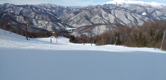 新雪最高！|信州松本 野麦峠スキー場のクチコミ画像