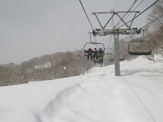 雪が多い今シーズン！|ダイナランドのクチコミ画像