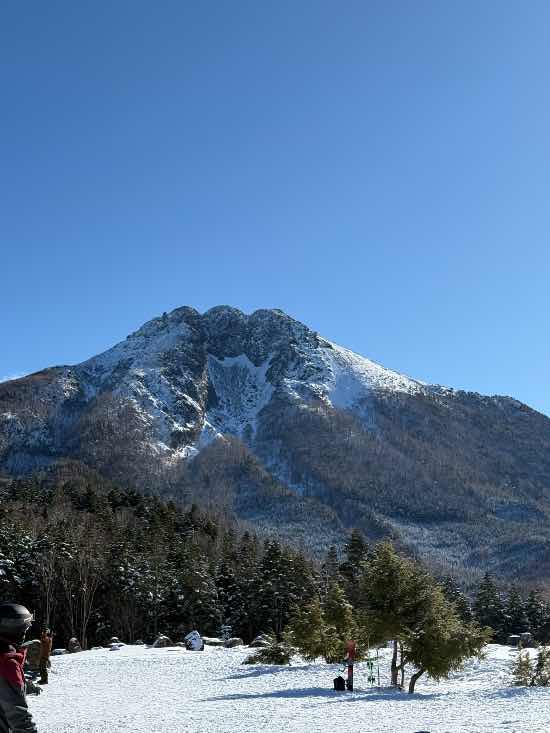 ［ワンダーランドかたしなレビューキャンペーン］