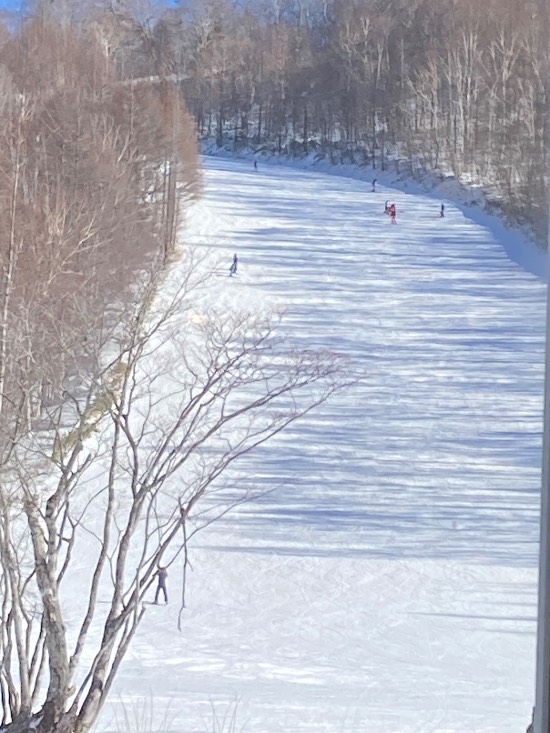 ワンダーランドかたしなレビューキャンペーン|ホワイトワールド尾瀬岩鞍のクチコミ画像
