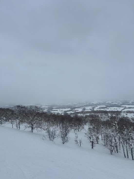 ニセコアンヌプリ国際スキー場のフォトギャラリー1