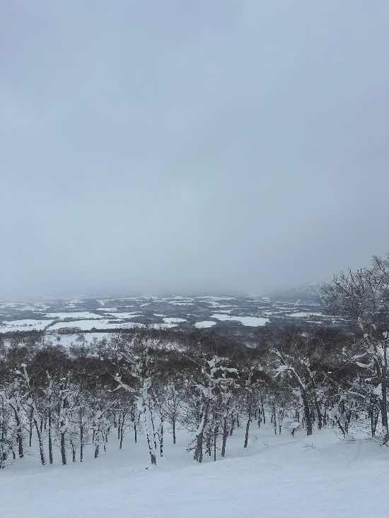 湯の沢G7 パートⅡ|ニセコアンヌプリ国際スキー場のクチコミ画像2