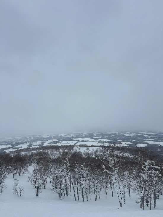 湯の沢G7 パートⅡ|ニセコアンヌプリ国際スキー場のクチコミ画像3