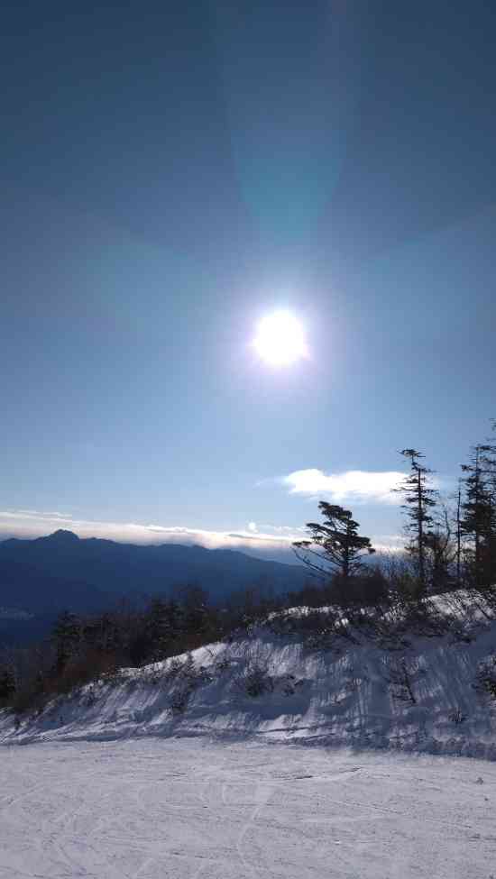 ワンダーランドかたしなレビューキャンペーン