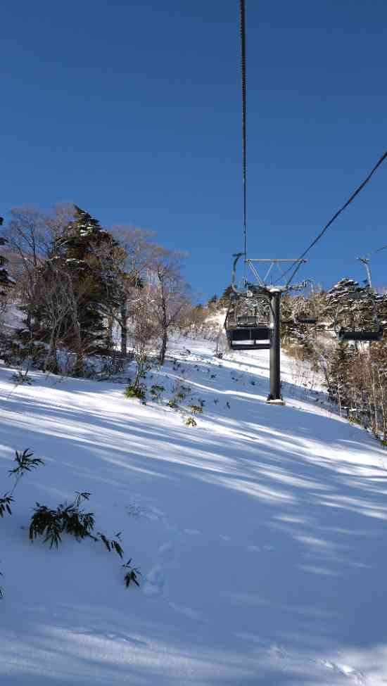 ワンダーランドかたしなレビューキャンペーン|オグナほたかスキー場のクチコミ画像2