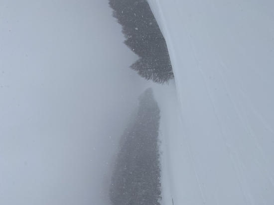 雪の降ってる時は|オグナほたかスキー場のクチコミ画像