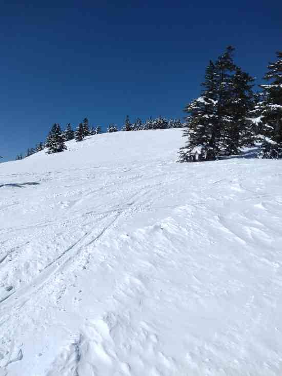 かたしな高原スキー場のフォトギャラリー2