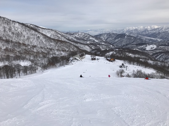 広くて雪ふかふか！|かぐらスキー場のクチコミ画像