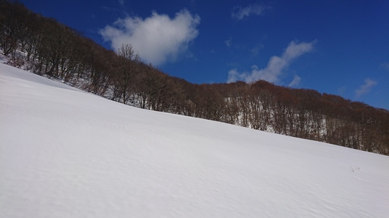 空いてるゲレンデ|奥神鍋スキー場のクチコミ画像2