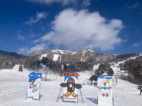 自由度MAX|YAMABOKU ワイルドスノーパークのクチコミ画像2