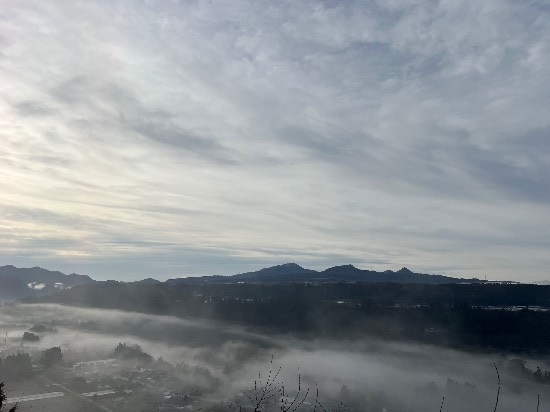 ワンダーランドかたしなレビューキャンペーン