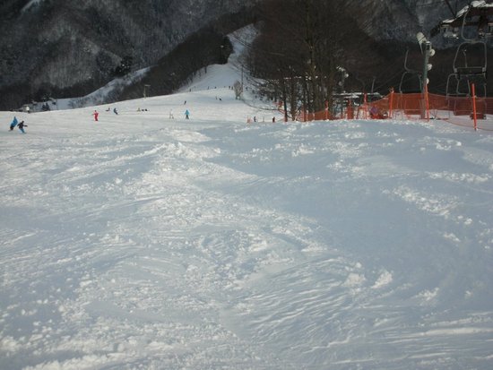 ミニコブあり|奥利根スノーパークのクチコミ画像
