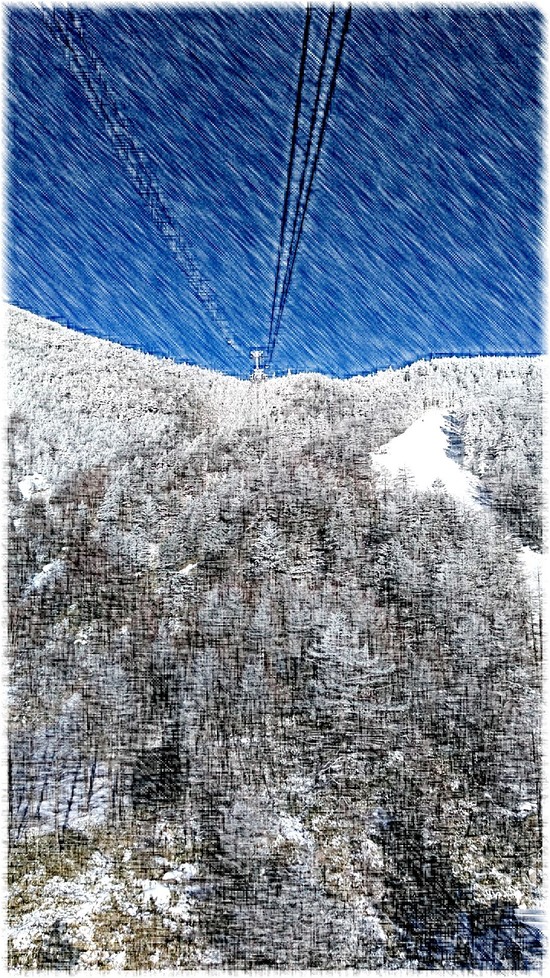 さらさら粉雪|ピラタス蓼科スノーリゾートのクチコミ画像