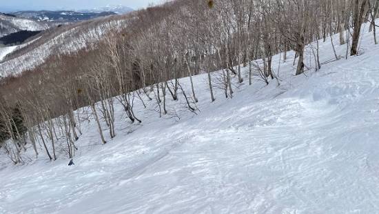 コースの斜度も滑りやすい|タングラムスキーサーカスのクチコミ画像2