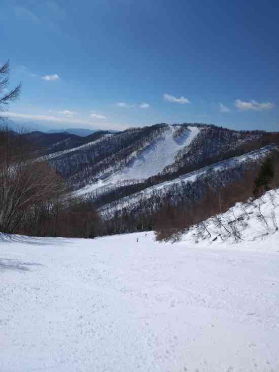 ワンダーランドかたしなレビューキャンペーン|ホワイトワールド尾瀬岩鞍のクチコミ画像2