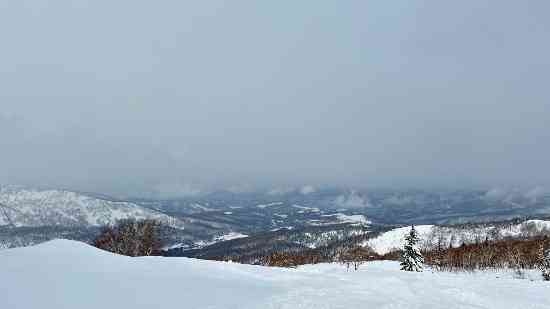 主にツリーエリアとBCエリア滑走|KIRORO SNOW WORLDのクチコミ画像