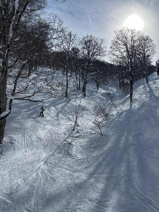 やまびこコース|野沢温泉スキー場のクチコミ画像