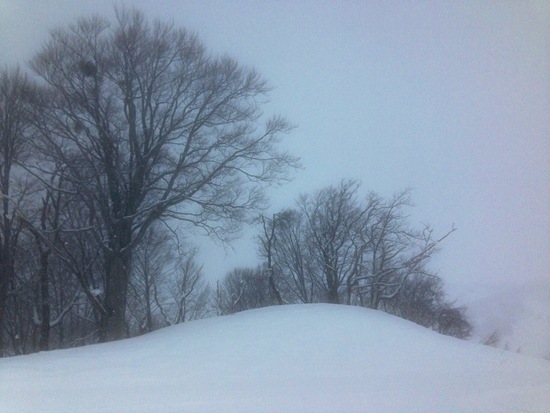 念願の新雪が仇となり|キューピットバレイのクチコミ画像