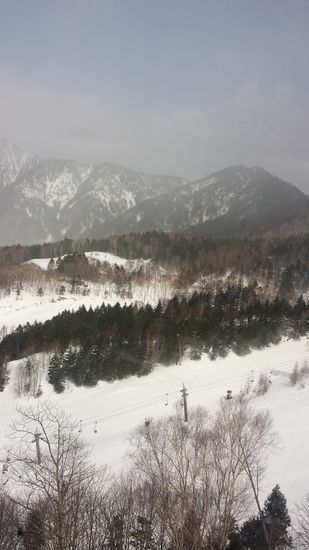 ホワイトデー割引|のクチコミ画像