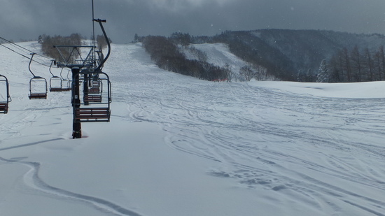 山は吹雪。でも超パウダー。アフターは雪灯篭まつり。|天元台高原のクチコミ画像