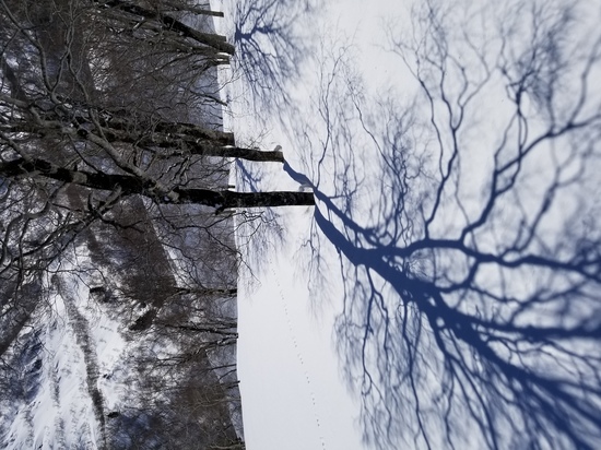 絶景！！|かぐらスキー場のクチコミ画像