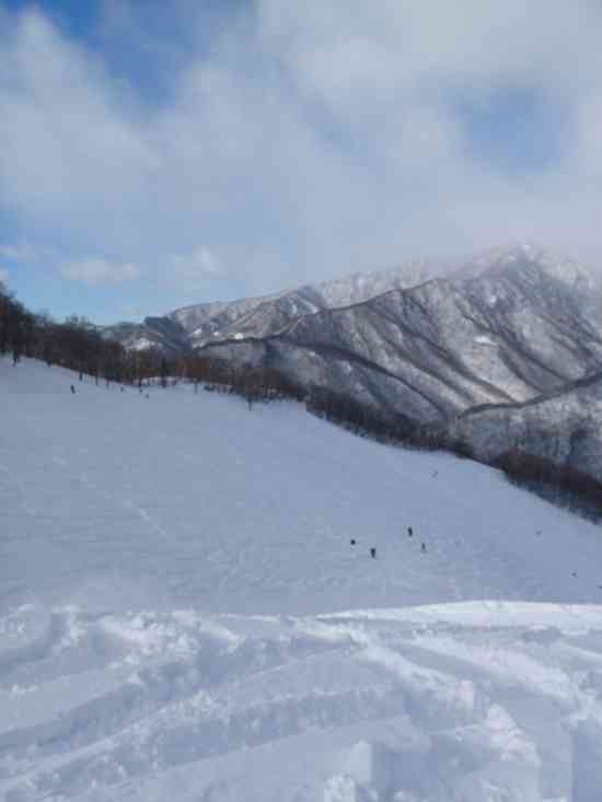 パウダー天国なり!
