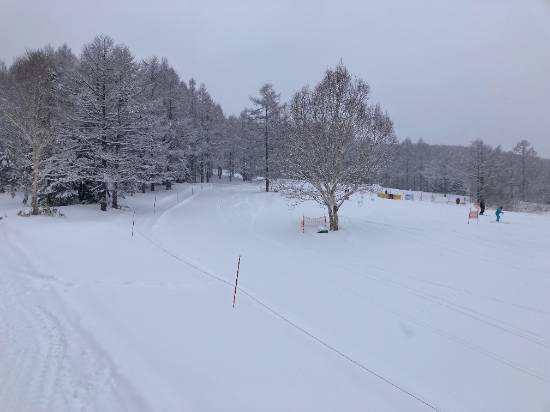 志賀高原 焼額山スキー場のフォトギャラリー2