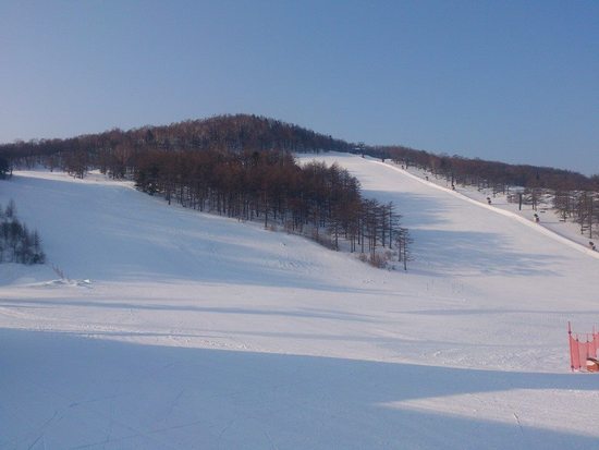 トレーニングに最適です|高峰マウンテンパーク（旧アサマ2000パーク）のクチコミ画像