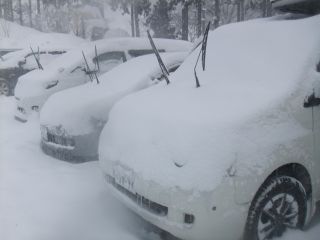 パウダー三昧|エイブル白馬五竜のクチコミ画像3