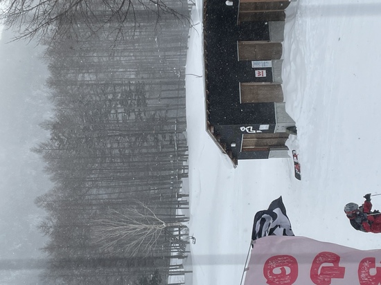 雪質|丸沼高原スキー場のクチコミ画像