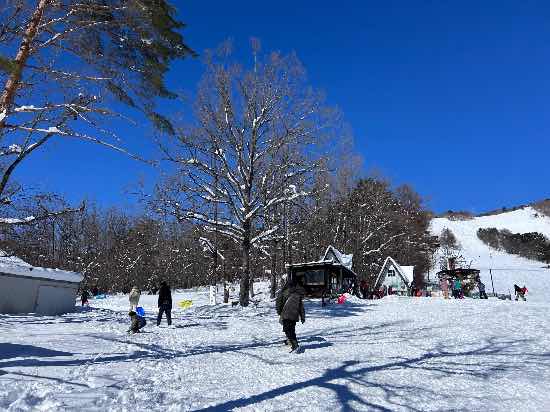 2025.02.08|泉ヶ岳スキー場のクチコミ画像2