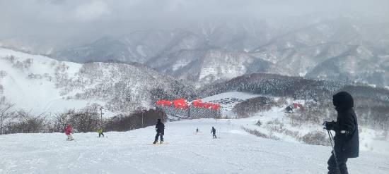 流石の降雪量|白馬コルチナスキー場のクチコミ画像