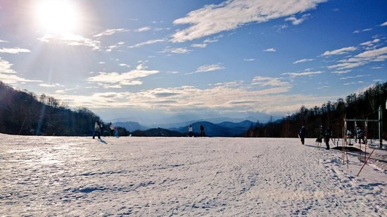 パウダースノー|川場スキー場のクチコミ画像